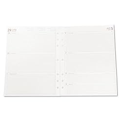 Day Runner Express Weekly Planning Pages Refill, 2010 Edition, Hourly Appointments Mon-Fri, 8.50 x 11 Inches, (068-285Y)