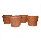 Greenhouse Collection Medium Half Pots (Set of 4) by 