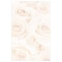 Blush Roses Bulletin