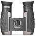 Steiner Fernglas Safari Pro 10x26