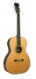 Recording King Century Studio Series 12th Fret OOO-Style Acoustic Guitar (Rosewood)