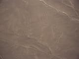 Monkey, Nazca (Nasca) Lines, Unesco World Heritage Site, Peru, South America Photographic Poster Print by Jane Sweeney, 24x32