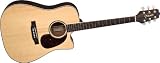 Takamine G Dreadnought EG530DLX Acoustic-Electric Guitar, Gloss Natural