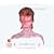 Aladdin Sane - 30th Anniversary Edition