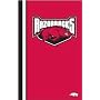 Arkansas Razorbacks Ultrasoft Blanket - NCAA College Athletics