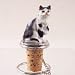 Black & White Tabby Cat Bottle Stopper
