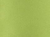 Earth Full Size Micro Suede Futon Mattress Cover with Dimensions of 54