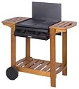 Lavastein-Gasgrill / 2-flammig "Illinois Stone"