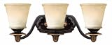 Hinkley 5473OB, Plymouth Reversible Glass Wall Vanity Lighting, 3 Light, 300 Total Watts, Bronze
