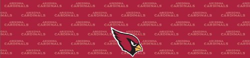 Arizona Cardinals Team Auto Visor Decal