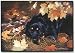 rottweiler3 - Rottweiler Dogs Rottweilers Indoor Outdoor Designer Doormat