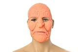 Wrinkled Old Woman Halloween Costume Face Mask 12-US