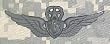 Master Aircraft Crewman - Metal Insignia - Black - Full Size