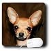 chihuahua24  - Dogs Chihuahua Chihuahua Portrait Mouse Pads