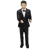 Weddingstar Interchangeable Groom - Caucasian Brown Hair
