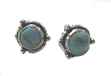Men's Women's Southwest Blue Turquoise Post Stud Earrings