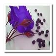 Blue Roses and Coffee Beans - 8x8 Iron On Heat Transfer For White Material Cheap