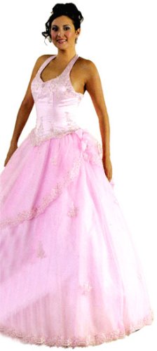 beautiful prom dress Cinderella divine