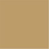 Foam Round Back Cool Chair - Tan (M)