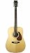 JOHNSON CAROLINA SERIES II DREADNAUGHT ACOUSTIC GUITAR