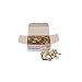 Charles Leonard Inc., Fasteners, Round Head, Brass Plated 1 Inches Shank, 10 mm Head, 100/Box (4R-BP)