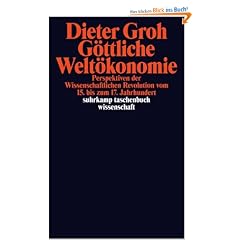 G�ttliche Welt�konomie: Perspektiven der wissenschaftlichen Revolution vom 15. bis zum 17. Jahrhundert (suhrkamp taschenbuch wissenschaft)