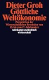 Produkt-Bild: G&ouml;ttliche Welt&ouml;konomie: Perspektiven der wissenschaftlichen Revolution vom 15. bis zum 17. Jahrhundert (suhrkamp taschenbuch wissenschaft)
