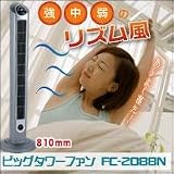 ビッグタワーファンFC-2088Nの画像