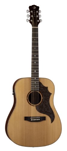 Luna AM T100 Americana (Leather P.Guard)