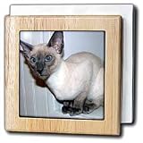 Oriental Short Hair - 6 Inch Tile Napkin Holder