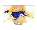 Borzoi Blue Flight Emerging Artists Photographic Poster Print by Kathleen Sepulveda, 10x8