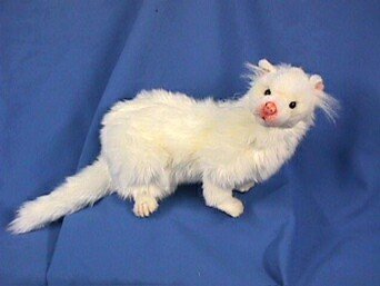 31sUBZtnODL Sitting White Ferret 12.2 Plush Stuffed Animal Toy By Hansa