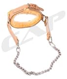 Leather Head Harness