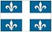 Quebec Flag 3x5 NEW 3 x 5 CANADIAN QUEBECOIS Banner