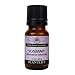 Rosemary 100% Pure Essential Oil - 10 ml