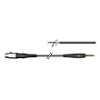 Planet Waves XLR to 1/4" Microphone Cable, 25 Feet