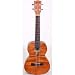 Kala Exotic Mahogany Series KA-TEM Tenor - Acoustic