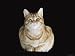Male Ginger Domestic Cat Looking Smug, UK Animals Photographic Poster Print by Jane B...