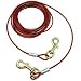 Dog Tie Out Cable, 20' Red