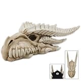 Dragon Skull Collectible Skeleton Serpent Figurine Statue Sculpture
