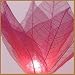 Flower Lights (Wine - Color Red Wine/dark Mauve) From the Leaves of a Bohdi Tree