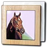 Quarter Horse - 6 Inch Tile Napkin Holder