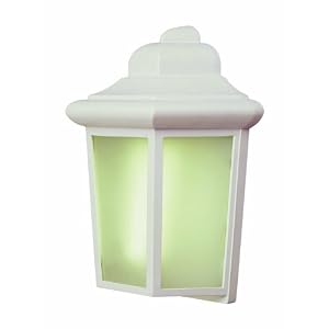 Trans Globe Lighting 4483-PL WH 12-Inch 1-Light Outdoor Wall Pocket Lantern, White by 