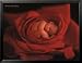 Jake in Red Rose People Framed Art Poster Print by Anne Geddes, 34x26