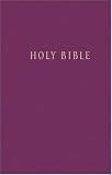 Holy Bible: New Living Translation