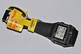 Casio Dba80
