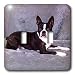 Dogs Boston Terrier - Boston Terrier - Light Switch Covers - double toggle switch