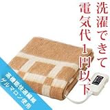 ナカギシ 電気敷毛布 NA-061SG　［電気代1円以下/丸洗いOK　電気敷き毛布・電気しき毛布］ 電気代