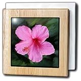 Pink Hibiscus - 6 Inch Tile Napkin Holder