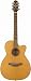 Musical Instruments : Takamine EAN70C OM Cutaway Acoustic-Electric Guitar